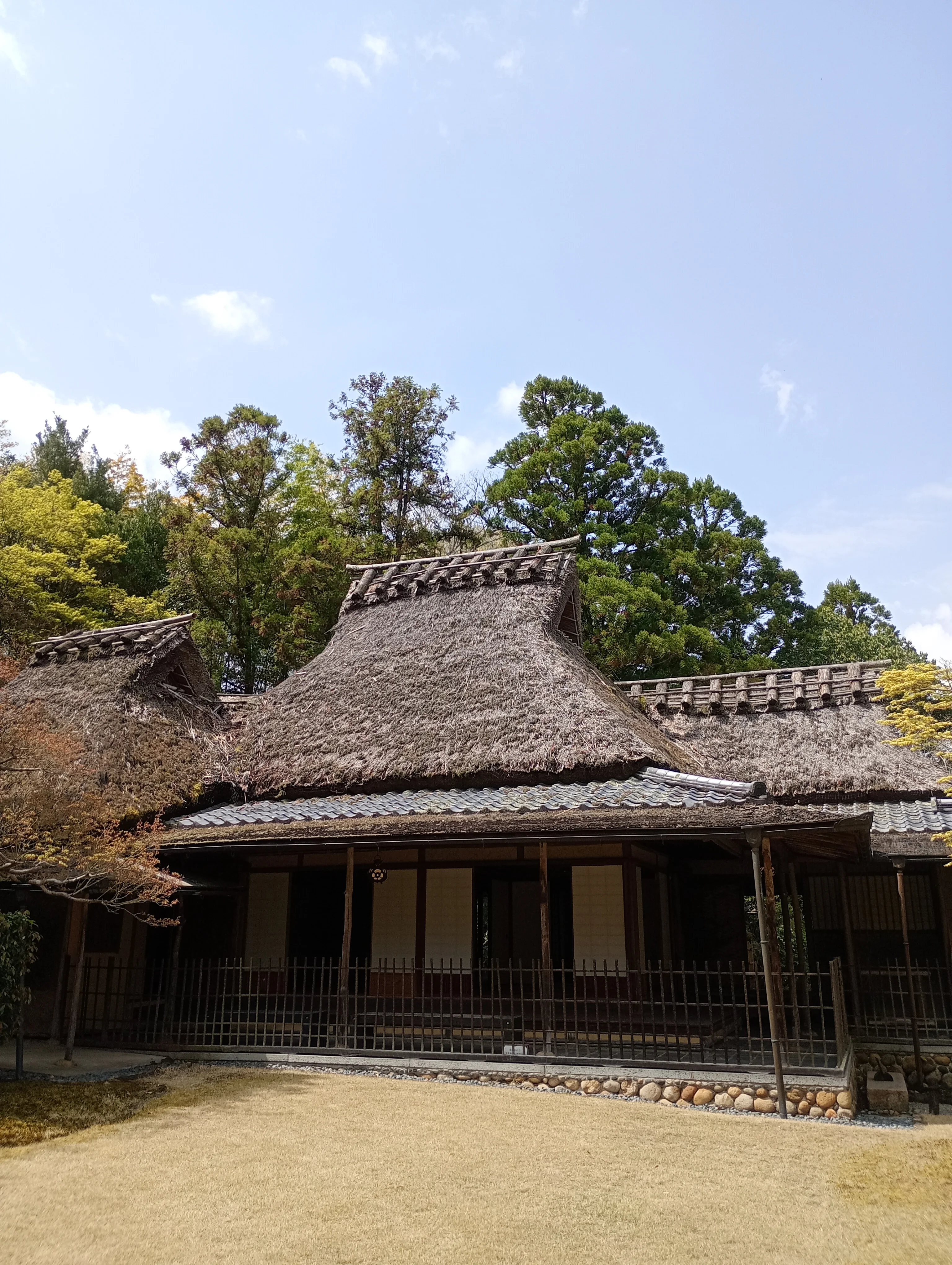 Nara Park Short Walk