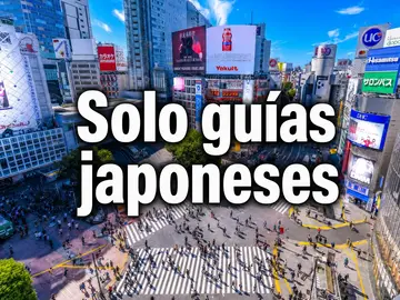 SHIBUYA-HARAJUKU: ciudad y cultura, por GUÍAS JAPONESES