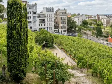 Wein- und Käseverkostung in Montmartre