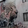 Woodstock and Salt River: Street art Safari and the art of Urban transformation 