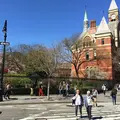 West Village NYC: Entre pantallas y acordes musicales