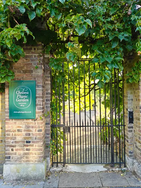 The real Chelsea tour: Iconic sights and hidden gems 