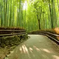 Arashiyama: Geführte Kleingruppentour: Bambuswald, versteckte Juwelen, Affen