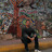Eduardo