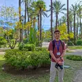 🌴 Discover Elche: The Oasis with 3 World Heritage Sites 🌴