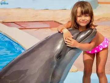 Delfinshow in Sharm El Sheikh – Spaß für die ganze Familie
