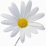 Pilar