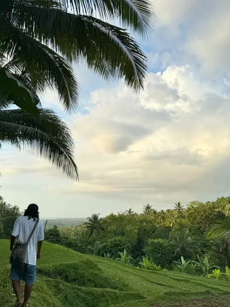 Tour Gratuito: Autentico Giro in Scooter di Lombok (Scimmie, Campi di Riso o Tramonto & Tartarughe)