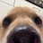 Irvin