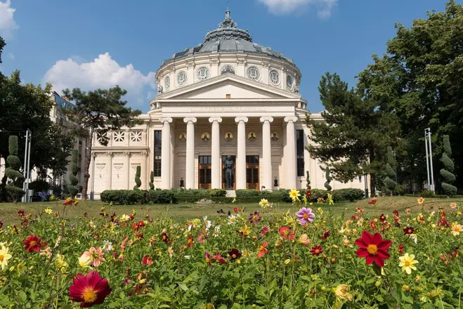 Tour image 4