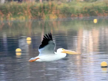 Xochimilco, a must-see destination on your list 