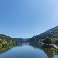 Discover HEIDELBERG like a LOCAL!!
