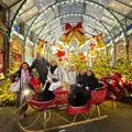 Magical London Christmas Light Walking Tour