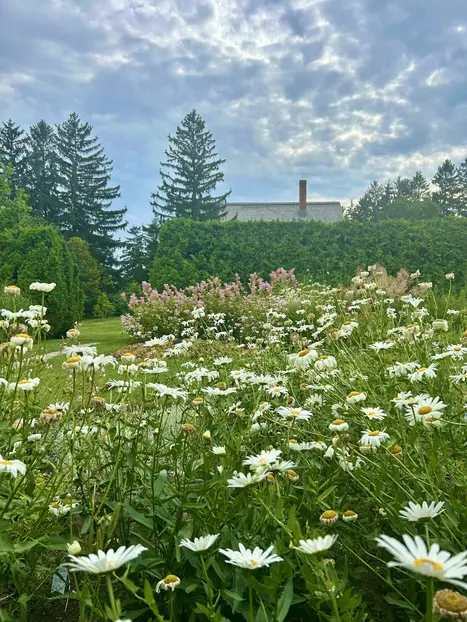 Tour image 6