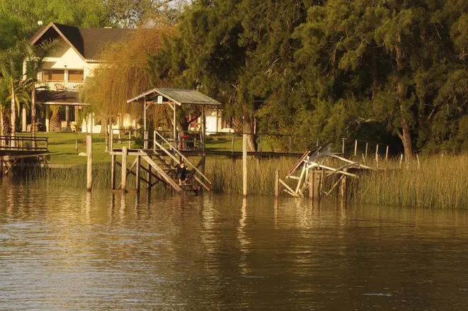 Il Delta Utopico: Arte, Funghi e Storia con un Locale