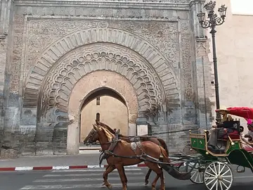 Free tour Marrakech  imperial y multicultural 3 horas