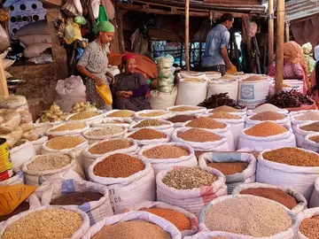 Addis Ababa Layover Tour: Coffee, Culture & Local Life
