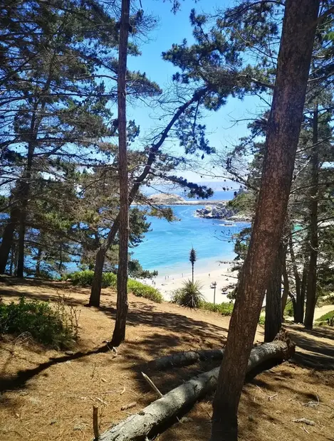 Canelo Canelillo de Algarrobo Nature Sanctuary 