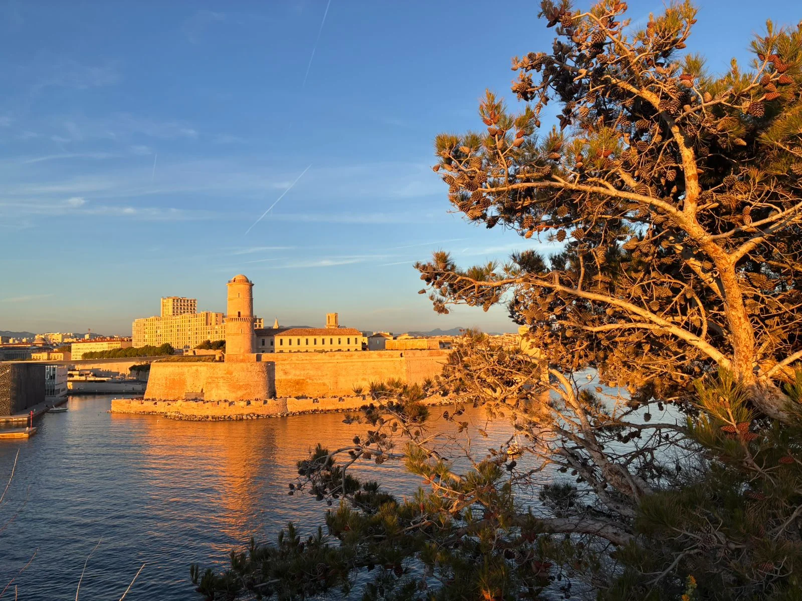 Walk, laugh, and discover Marseille