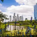 Un Oasis Natural en Buenos Aires: ¡Descubre Costanera Sur!