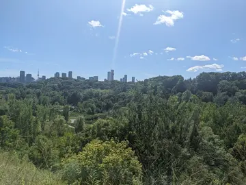 Descubra la naturaleza oculta de Toronto