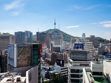 Korea Insight Walk: Hidden Views & Meaningful Dialogue