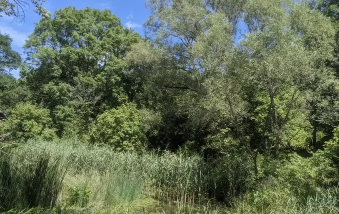Tour image 7
