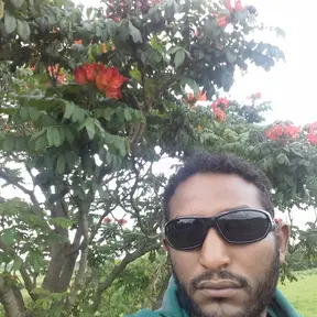 Haile micahel 