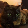 Mijin