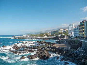 Visit to Puerto de la Cruz - Free Tour