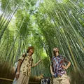 Kyoto: UNESCO World Heritage Arashiyama Walking Tour with Admission included
