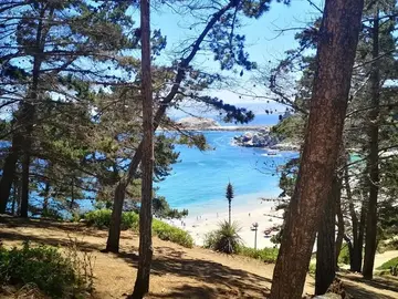 Canelo Canelillo de Algarrobo Nature Sanctuary 