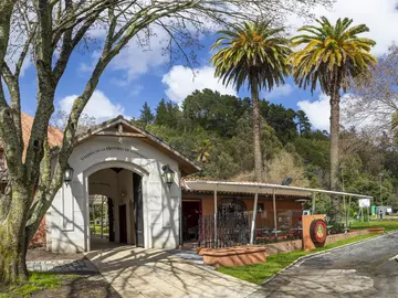 Tour Histórico-Natural por Concepción Free tour