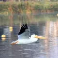 Xochimilco un destino obligado en tu lista 