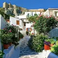 Athens Beyond the Acropolis – Experience Athens Like a Local with a Furry Pal 🐶