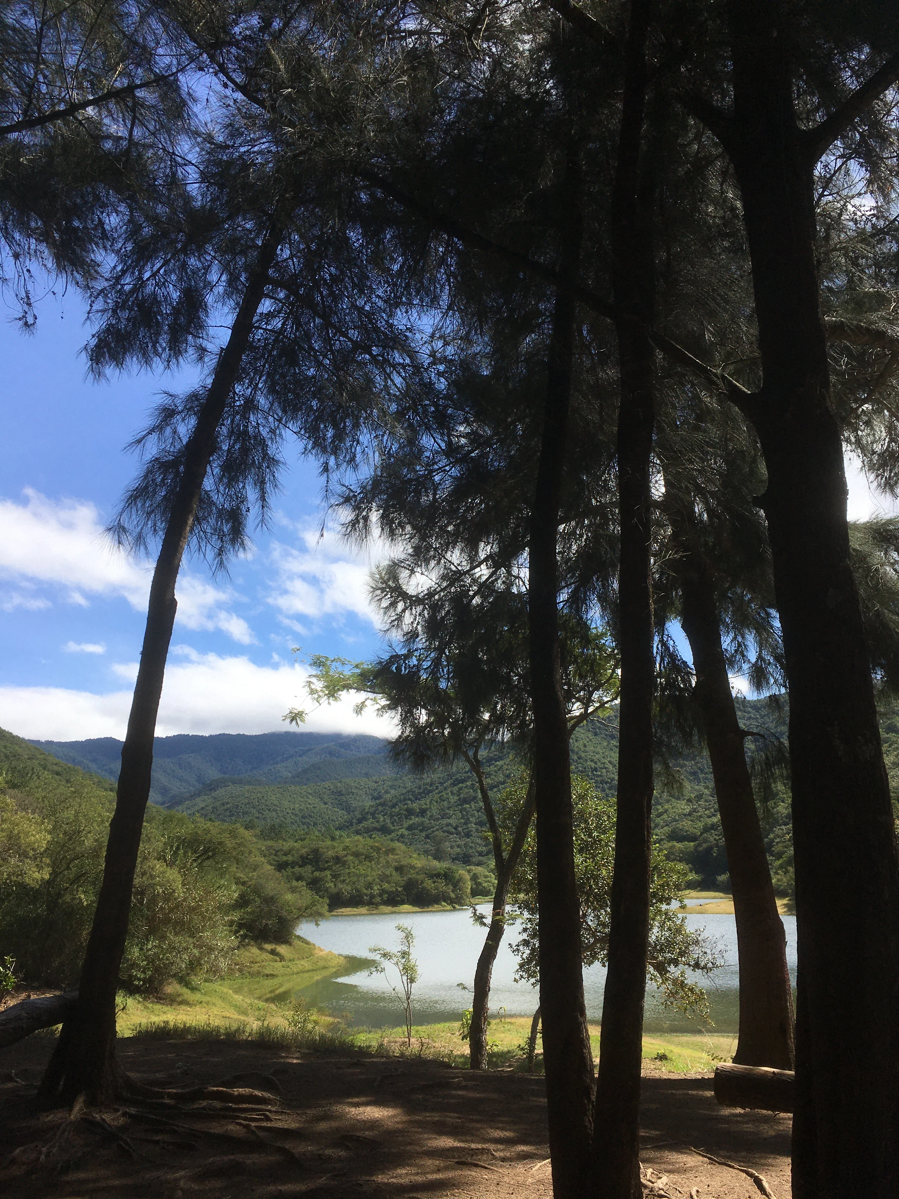 Bicitour Tomaltepec Dams, El Tule, Historic Center, Markets, Zócalo, and Tourist Walkway. ✨🚲