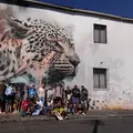Woodstock and Salt River: Street art Safari and the art of Urban transformation 