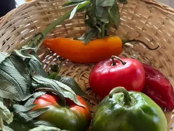 🌶️ Amazing Lima Street Food Tour & Market Experience 🎬