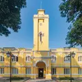 Explore Hidden Guangzhou: Cuisine, Heritage & Social Change