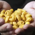 Bologna and its secrets through food tales - Free Tour