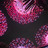 Kacper