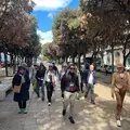 Tour gratuito di Bari vecchia 