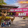 Free walking tour durch Nara: Die Stadt der Hirsche