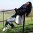 Alessia