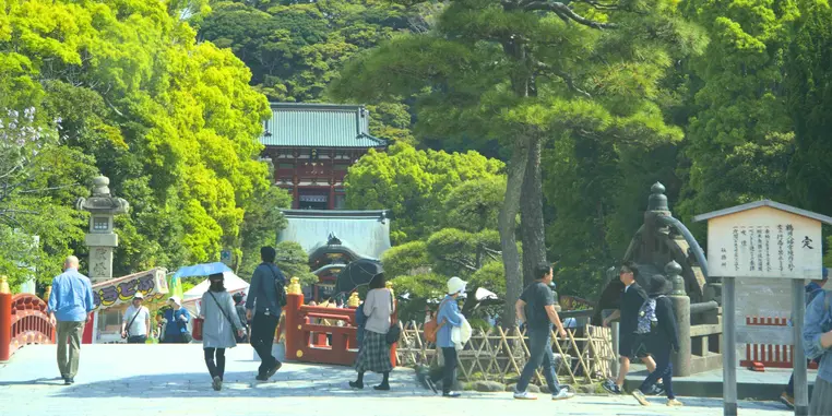 Tour image 6