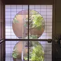Kamakura im Herbst: Tempel, Gärten und traditioneller Tee