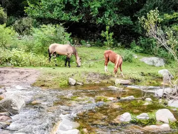 Erkunden Sie die Sierra Nevada wie ein Einheimischer