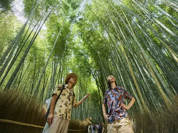 Kyoto: UNESCO World Heritage Arashiyama Walking Tour (Entrance Ticket Included)