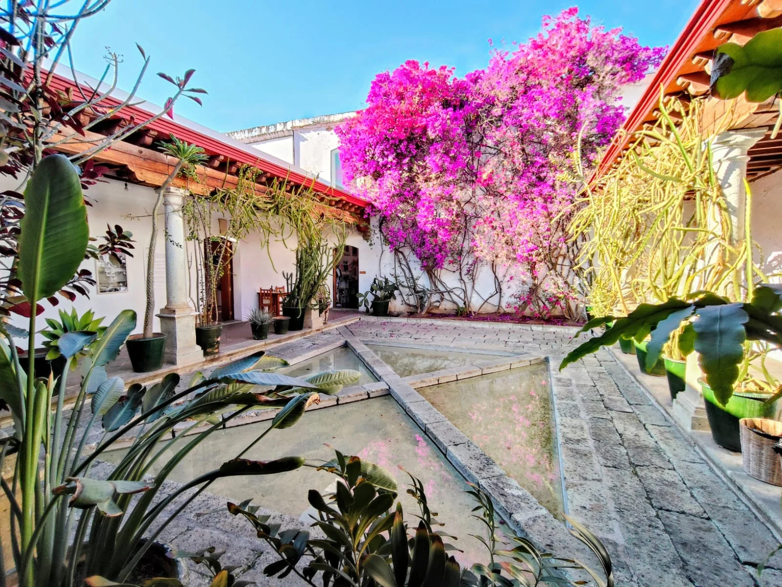 Oaxaca: Stone that Speaks, Art that Fights