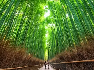 Kyoto: Arashiyama Chopstick Making Workshop